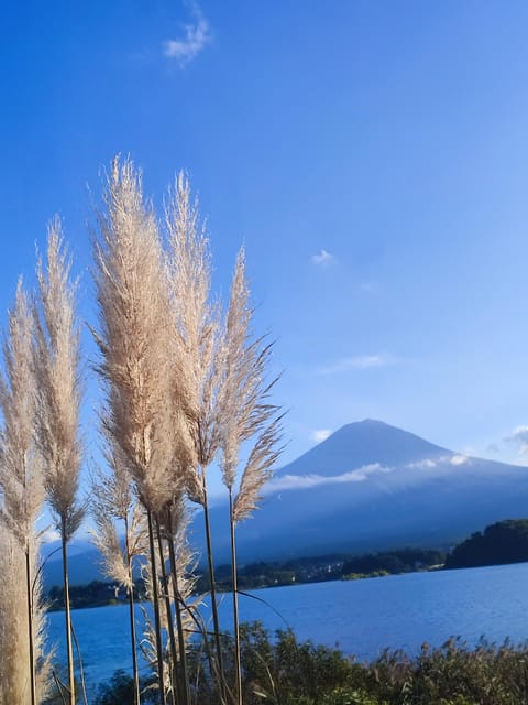 Tokyo: Mt Fuji and Hakone Full Day Private Sightseeing Tour - Preparation and Restrictions