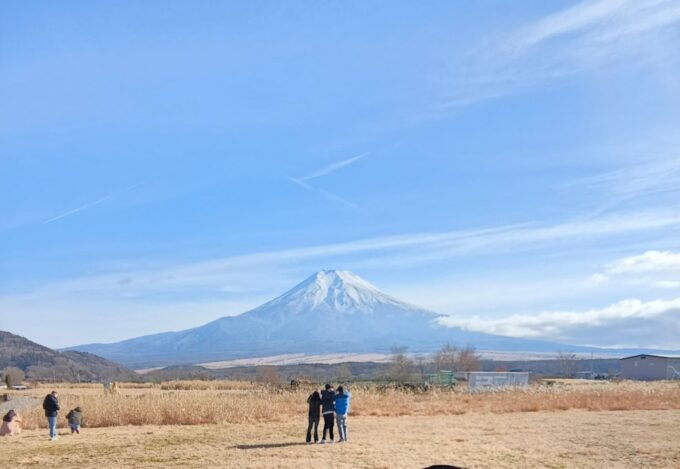 Tokyo: Mt Fuji and Hakone Full Day Private Sightseeing Tour - Stunning Views of Mt. Fuji