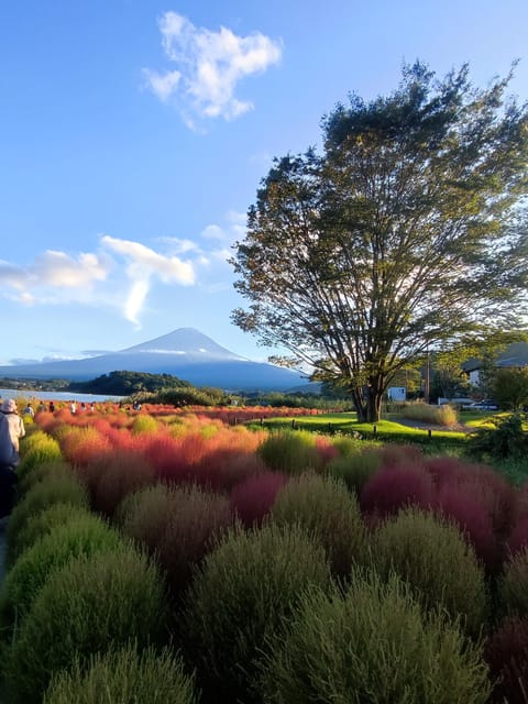 Tokyo: Mt Fuji and Hakone Full Day Private Sightseeing Tour - Exploring the Beauty of Hakone