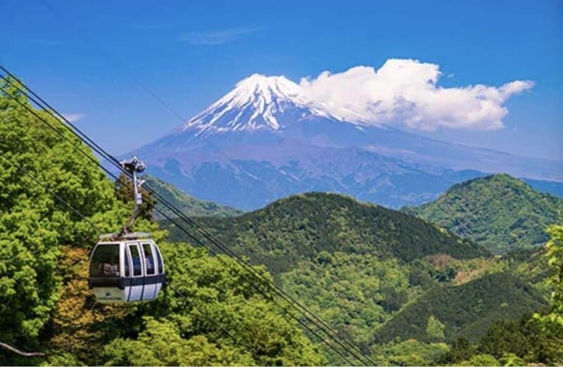 Tokyo: Mt Fuji and Hakone Full Day Private Tour - Scenic Viewpoints
