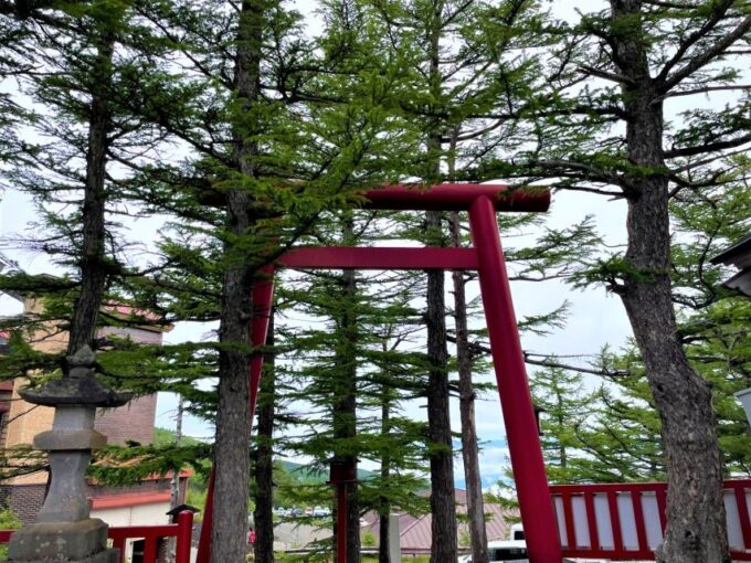 Tokyo: Mt. Fuji and Hakone Tour With Cable Car and Cruise - Optional Ninja-Themed Lunch