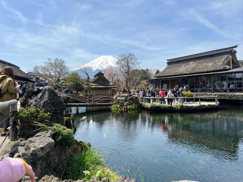 Tokyo: Mt. Fuji and Hakone Tour With English Speaking Driver - Transportation and Amenities