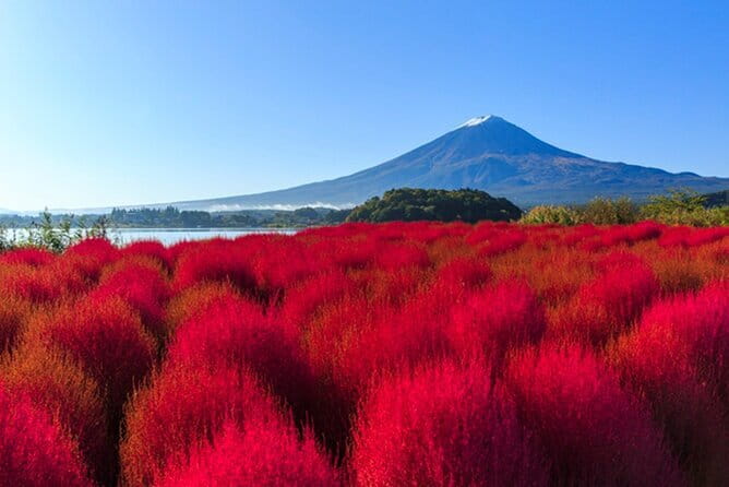Tokyo: Mt. Fuji and Lake Kawaguchi 1-Day Luxury Bus Tour - Inclusions
