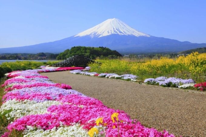 Tokyo: Mt Fuji, Arakura Sengen Park, Oshino Hakkai Bus Tour - UNESCO World Heritage Site and Local Delicacies