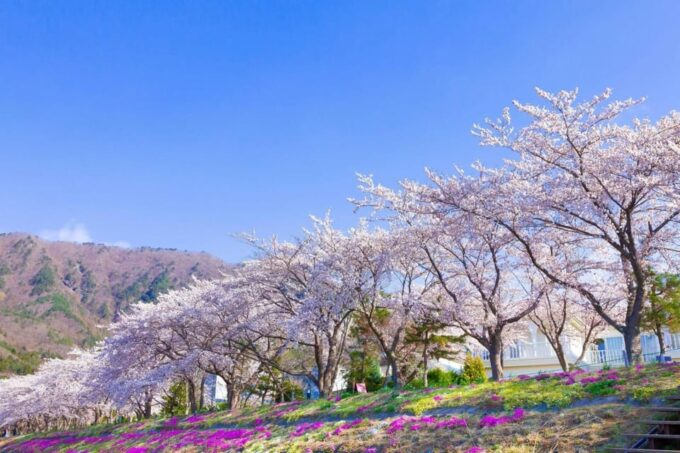 Tokyo: Mt Fuji, Arakura Sengen Park, Oshino Hakkai Bus Tour - Cultural Significance and Historical Landmarks