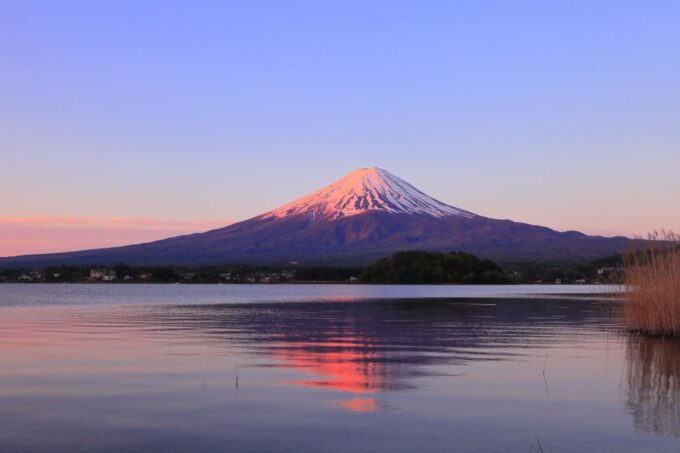 Tokyo: Mt Fuji Area Guided Tour With Traditional Lunch - Arakura Fuji Sengen Shrine