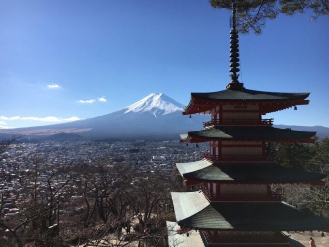 Tokyo: Mt Fuji Area Guided Tour With Traditional Lunch - Tour Highlights