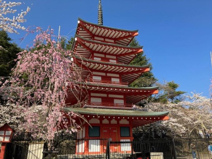 Tokyo: Mt Fuji Area Guided Tour With Traditional Lunch - Important Information