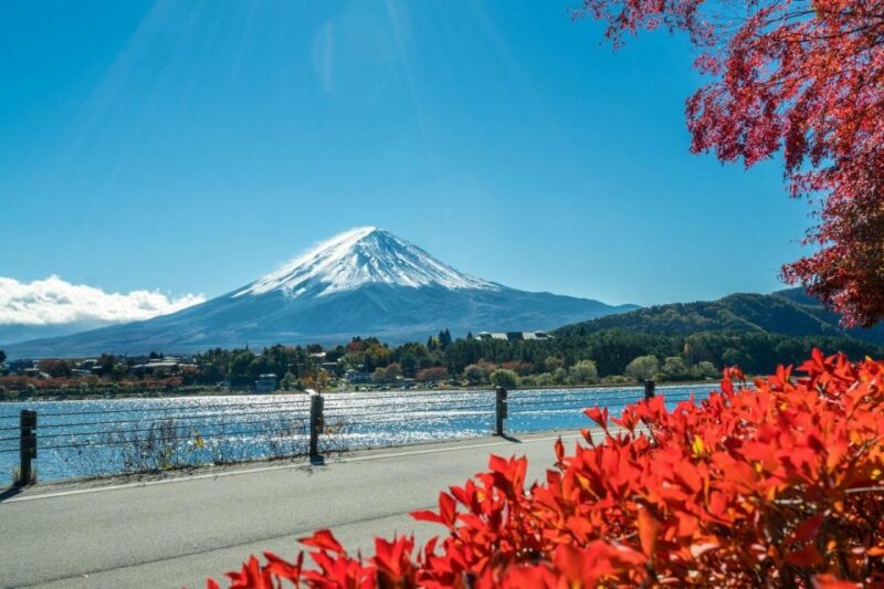 Tokyo: Mt Fuji Area, Lake Ashi, Owakudani, Onsen 1-Day Tour - Highlights of the Tour