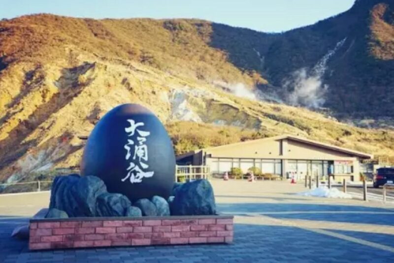 Tokyo: Mt Fuji Area, Lake Ashi, Owakudani, Onsen 1-Day Tour - Important Visitor Information