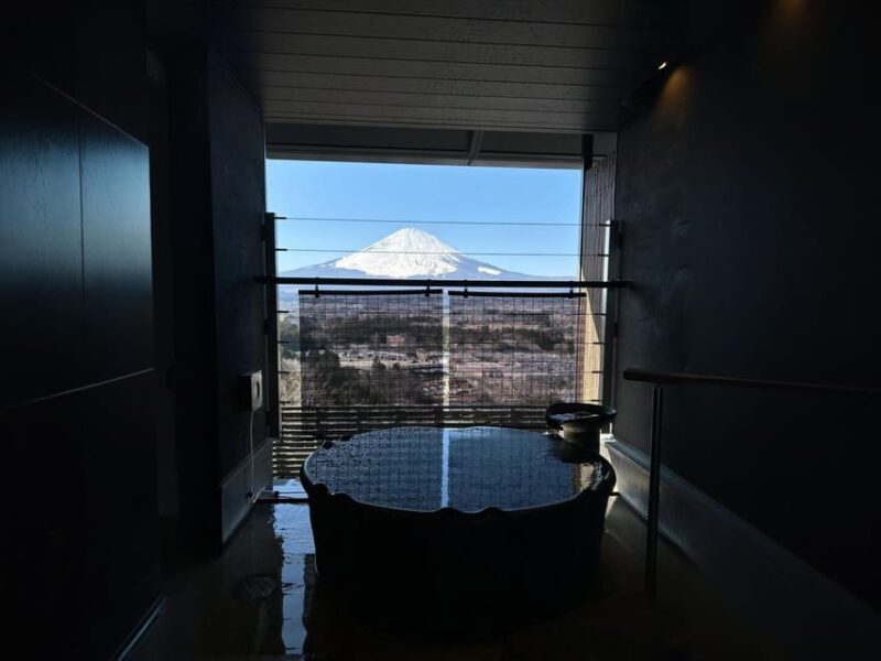 Tokyo: Mt. Fuji Cherry Blossom DayTrip & Yamanaka Hot Spring - Key Points