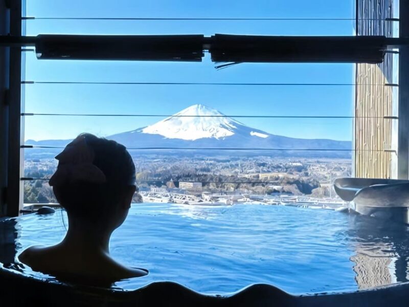 Tokyo: Mt. Fuji Cherry Blossom DayTrip & Yamanaka Hot Spring - Pickup Locations and Timing