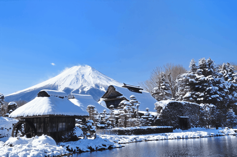 Tokyo: Mt. Fuji Cherry Blossom DayTrip & Yamanaka Hot Spring - Transportation Details