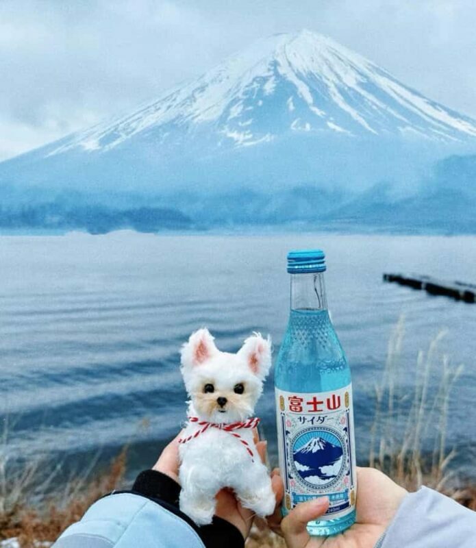 Tokyo: Mt Fuji Chureito Pagoda Lake Kawaguchi&Oshino Hakkai - The Sum Up: Why This Tour Is Worth Considering