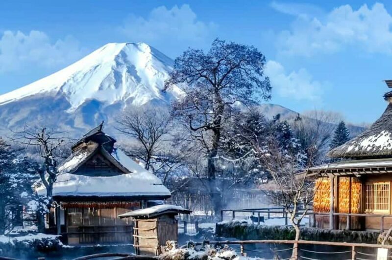 Tokyo: Mt Fuji Chureito Pagoda Lake Kawaguchi&Oshino Hakkai - FAQ