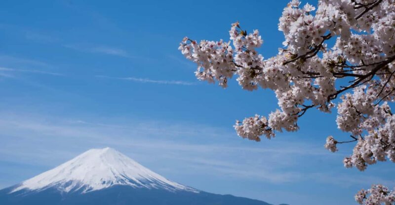 Tokyo: Mt. Fuji Day Trip for Couples With Pick&Drop Service - Chureito Pagoda Sightseeing and Hiking