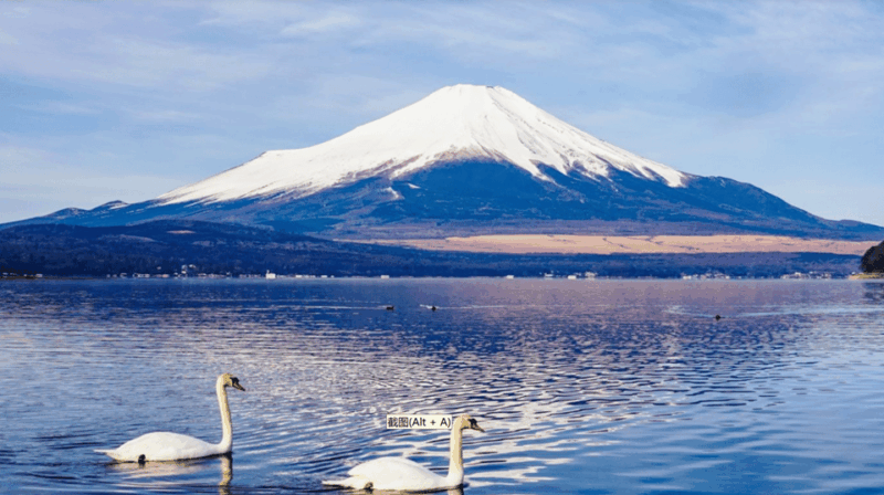 Tokyo: Mt Fuji, Hakone, Cruise, Ropeway & Oshino Hakkai Tour - Experiencing Hakone Shrine
