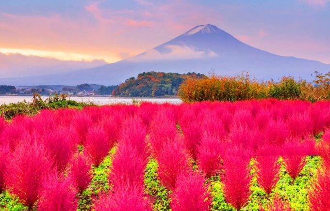 Tokyo: Mt Fuji, Hakone, Cruise, Ropeway & Oshino Hakkai Tour - Frequently Asked Questions