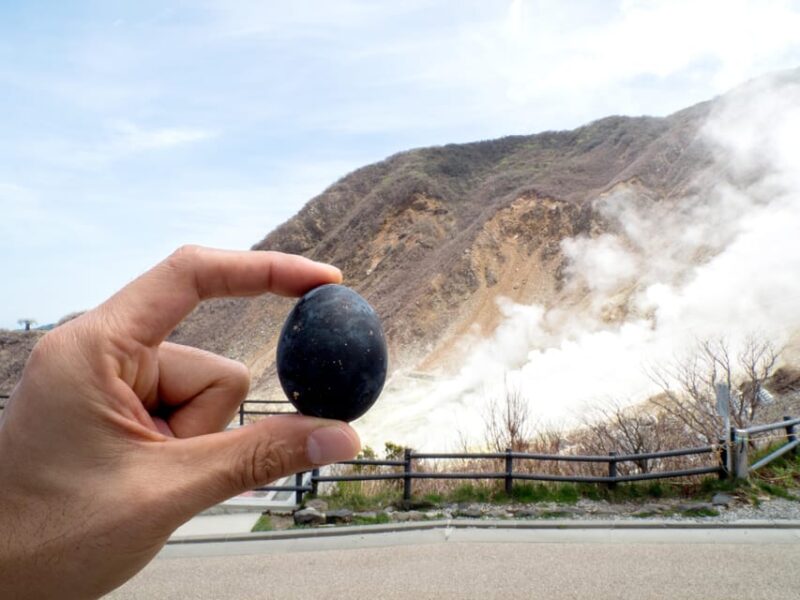 Tokyo: Mt.Fuji, Hakone & Open-Air Musuem or Oshino Hakkai - Customer Feedback