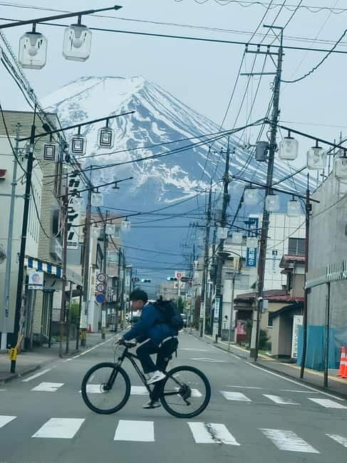 Tokyo: Mt. Fuji & Hakone Private Custom Tour English Driver - Key Points