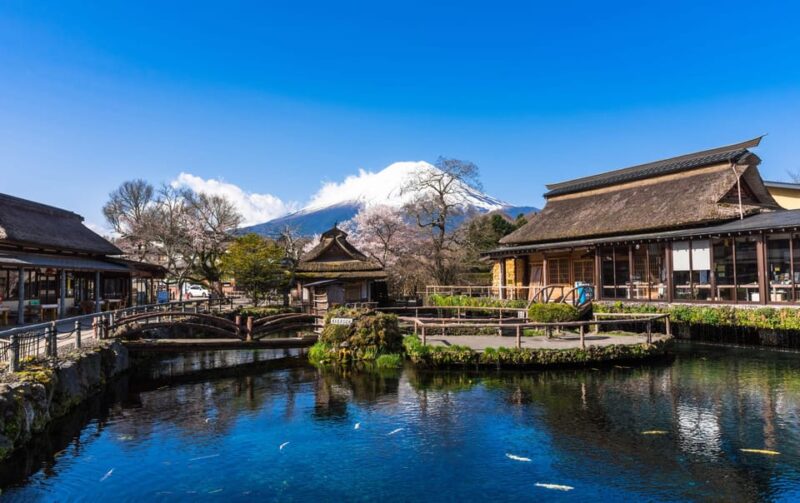 Tokyo: MT FUJI & HAKONE Private Sightseeing Tour - Lake Ashi