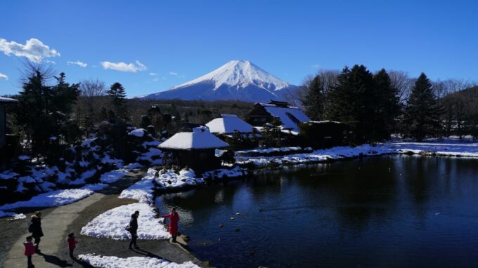 Tokyo: MT FUJI & HAKONE Private Sightseeing Tour - Cuisine and Regional Specialties