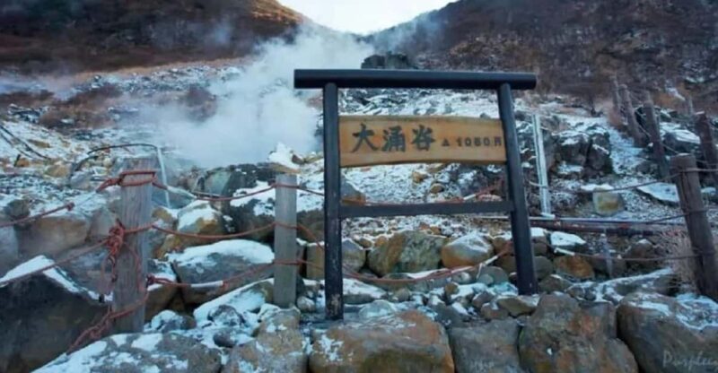 Tokyo Mt.Fuji Hakone Ropeway, and Oshino Hakkai Day Tour - Key Points
