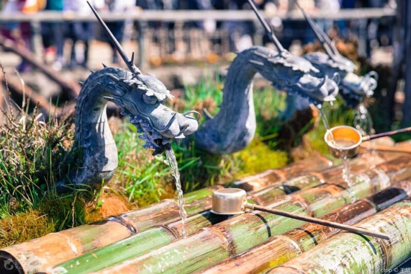 Tokyo: Mt.Fuji, Hakone Ropeway and Owakudani ValleyDay Tour - Important Information and Customer Reviews