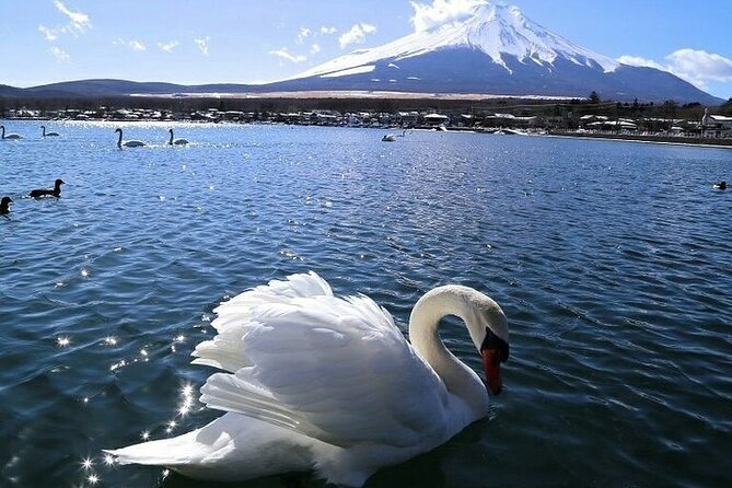 Tokyo Mt. Fuji Hakone Shrine, Owakudani, Lake Yamanakai Day Tour - Key Points