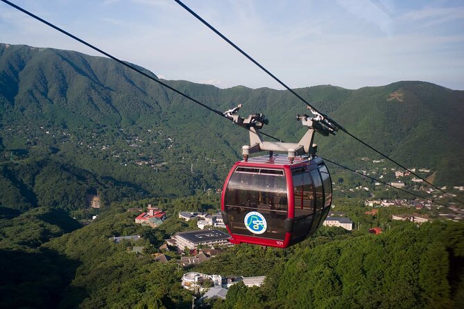 Tokyo Mt. Fuji Hakone Shrine, Owakudani, Lake Yamanakai Day Tour - Inclusions and Exclusions