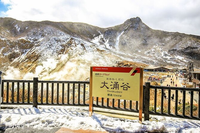Tokyo Mt. Fuji Hakone Shrine, Owakudani, Lake Yamanakai Day Tour - Reviews and Feedback