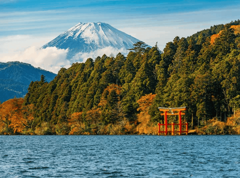 Tokyo: Mt. Fuji & Hakone Tour With English Speaking Driver. - Key Points
