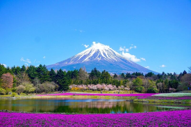 Tokyo: Mt. Fuji & Hakone Tour With English Speaking Driver. - Oshino Hakkai Village