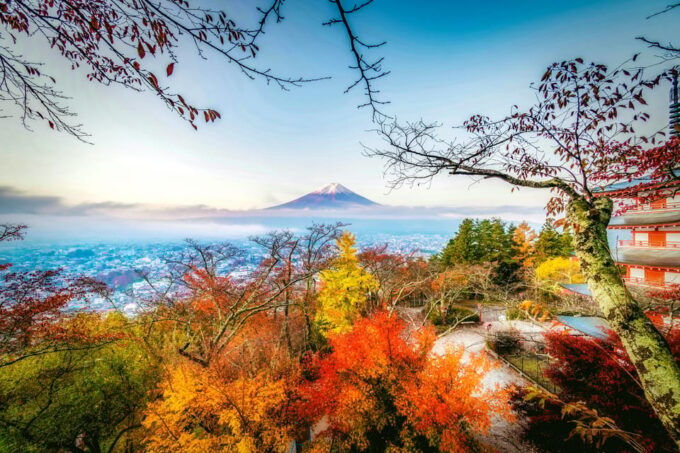Tokyo: Mt. Fuji & Hakone Tour With English Speaking Driver. - Lake Yamanaka Experience