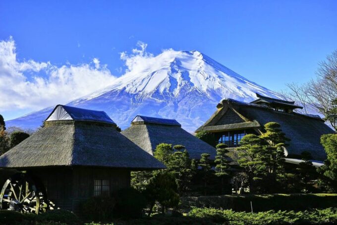 Tokyo: Mt. Fuji & Hakone Tour With English Speaking Driver. - Customizable Itinerary and Convenience