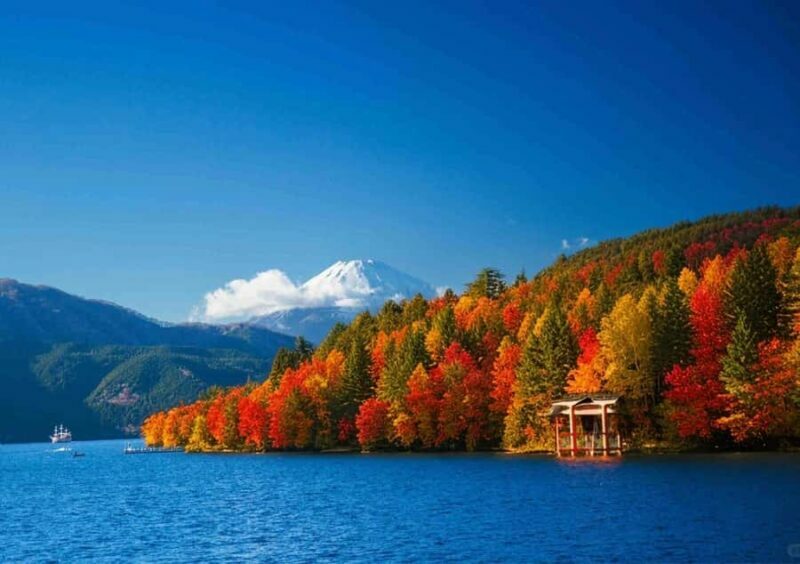 Tokyo Mt. Fuji & Hakone,Lake Ashi FREE Pirate Ship+Cable Car - The Sum Up: Who Is This Tour Best For?