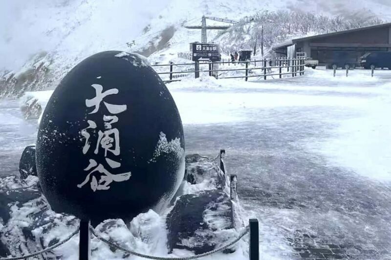 Tokyo Mt. Fuji & Hakone,Lake Ashi FREE Pirate Ship+Cable Car - FAQ