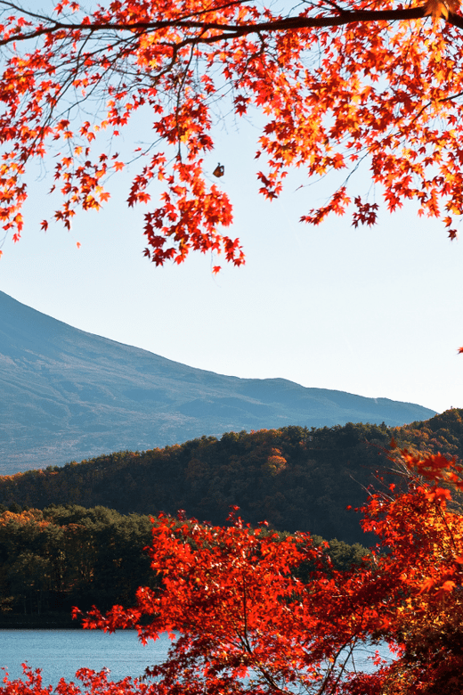 Tokyo: Mt. Fuji Hidden Gems and Aokigahara Forest Tour - Key Points