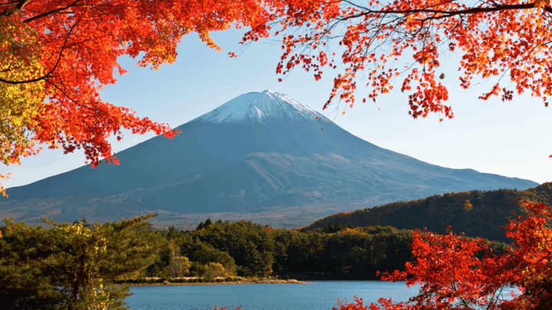Tokyo: Mt. Fuji Hidden Gems and Aokigahara Forest Tour - Itinerary Highlights