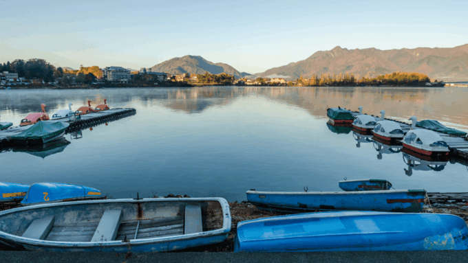 Tokyo: Mt. Fuji Hidden Gems and Aokigahara Forest Tour - Important Considerations