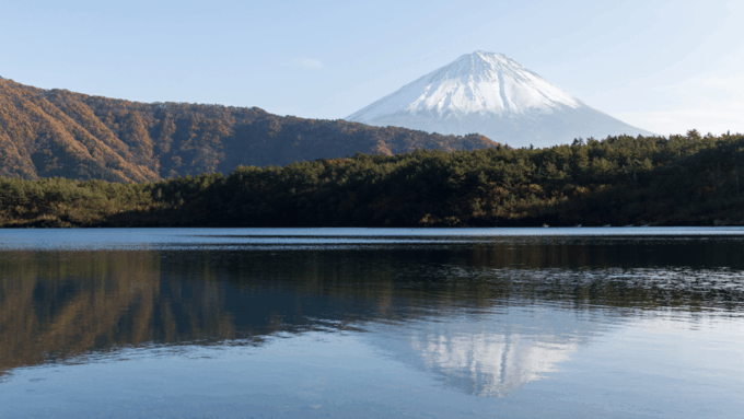 Tokyo: Mt. Fuji Hidden Gems and Aokigahara Forest Tour - Tour Reservation and Cancellation