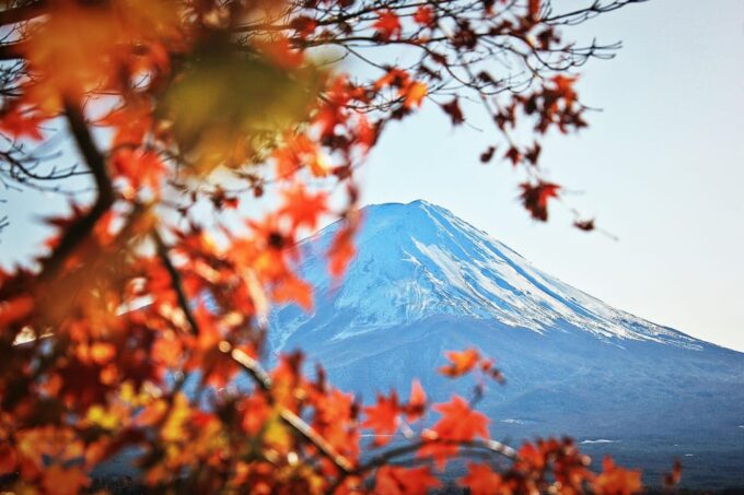 Tokyo: Mt. Fuji Hidden Gems and Aokigahara Forest Tour - FAQ