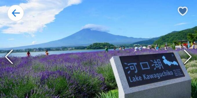 Tokyo: Mt. Fuji, Kawaguchi Lake, & Oshino Hakkai Day Trip - Marveling at the Chureito Pagoda