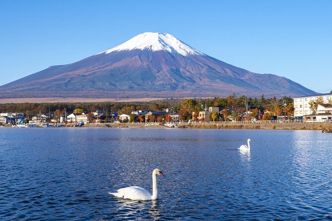 Tokyo Mt. Fuji, Kawaguchiko Fireworks Small Group - Highlights of the Tour