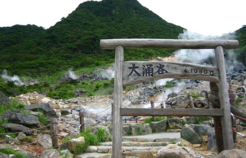 Tokyo: Mt. Fuji Lake Ashi&Ropeway,Owakudani Valley Day Tour - Hakone Pirate Ship Cruise