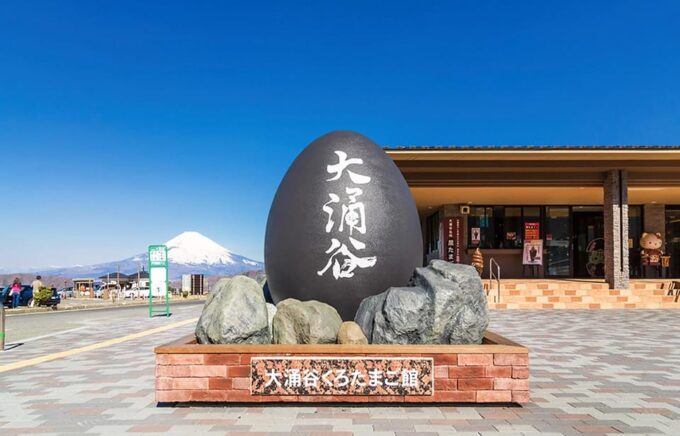 Tokyo: Mt. Fuji Lake Ashi&Ropeway,Owakudani Valley Day Tour - Frequently Asked Questions