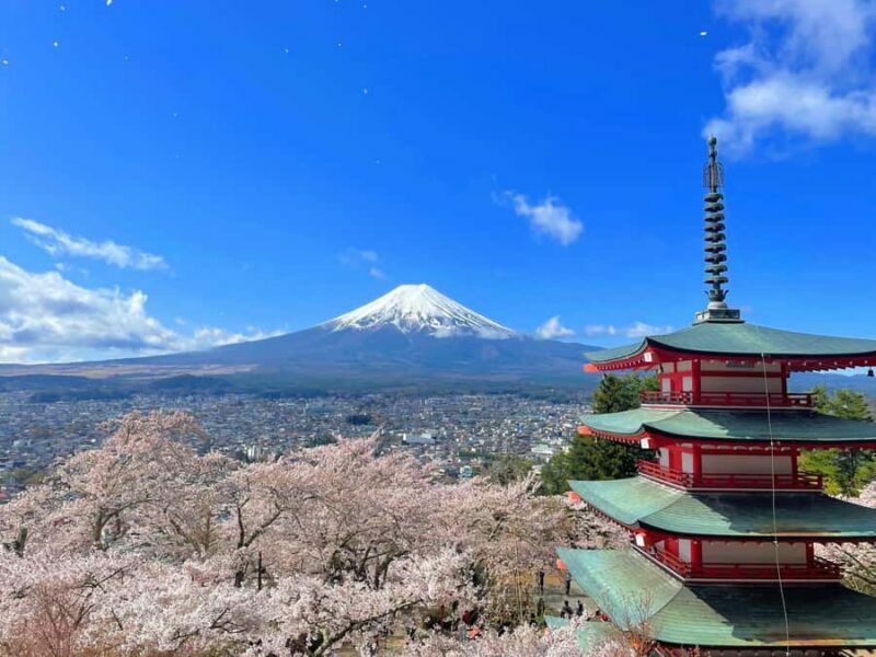 Tokyo: Mt Fuji, Lake Cruise and Noodles Making Experience - An Overview of the Experience