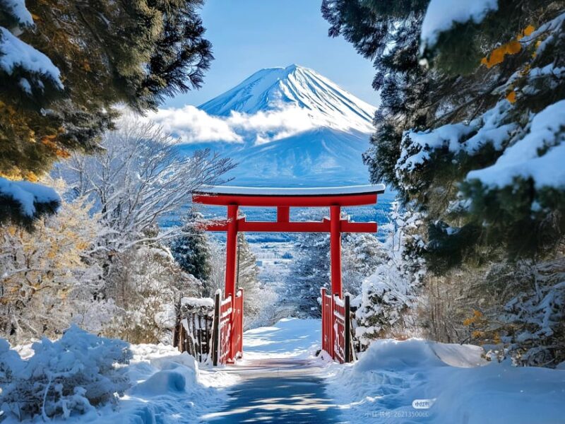 Tokyo: Mt Fuji Lake Kawaguchiko Tour & Arakuyama Sengen Park - Important Information and Meeting Details