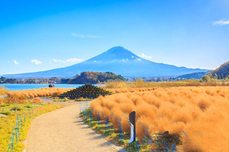 Tokyo: Mt. Fuji, Oshino Hakkai, Kawaguchi Lake 1-Day Trip - Multilingual Tour Guide and Traveler Feedback