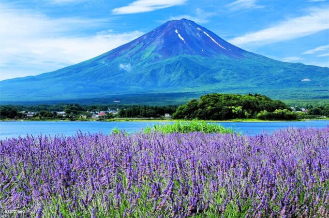 Tokyo: Mt. Fuji, Oshino Hakkai, Kawaguchi Lake 1-Day Trip - Important Information for Participants